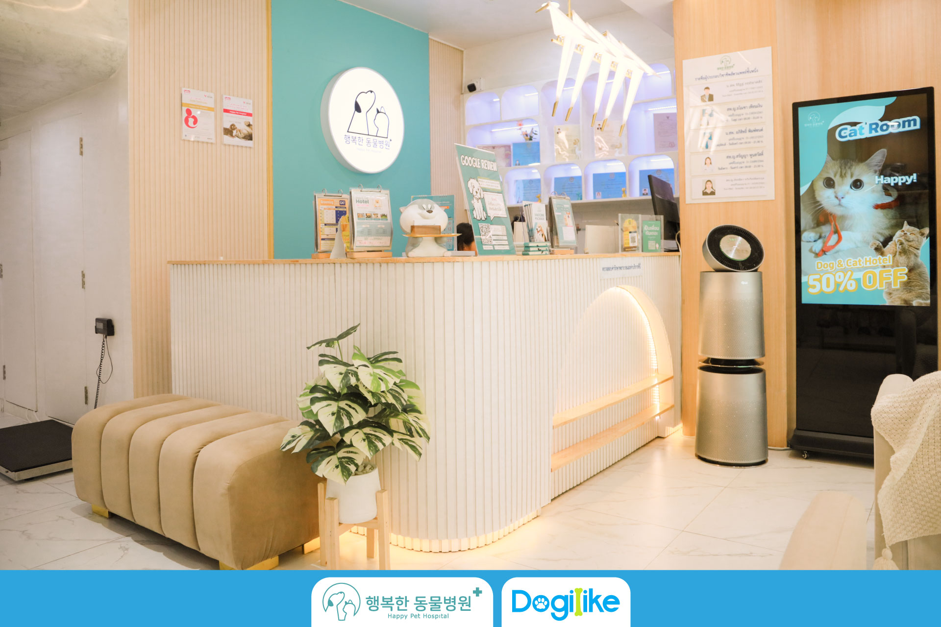 Dogilike.com :: Happy Pet Hospital çҺѵҡշá