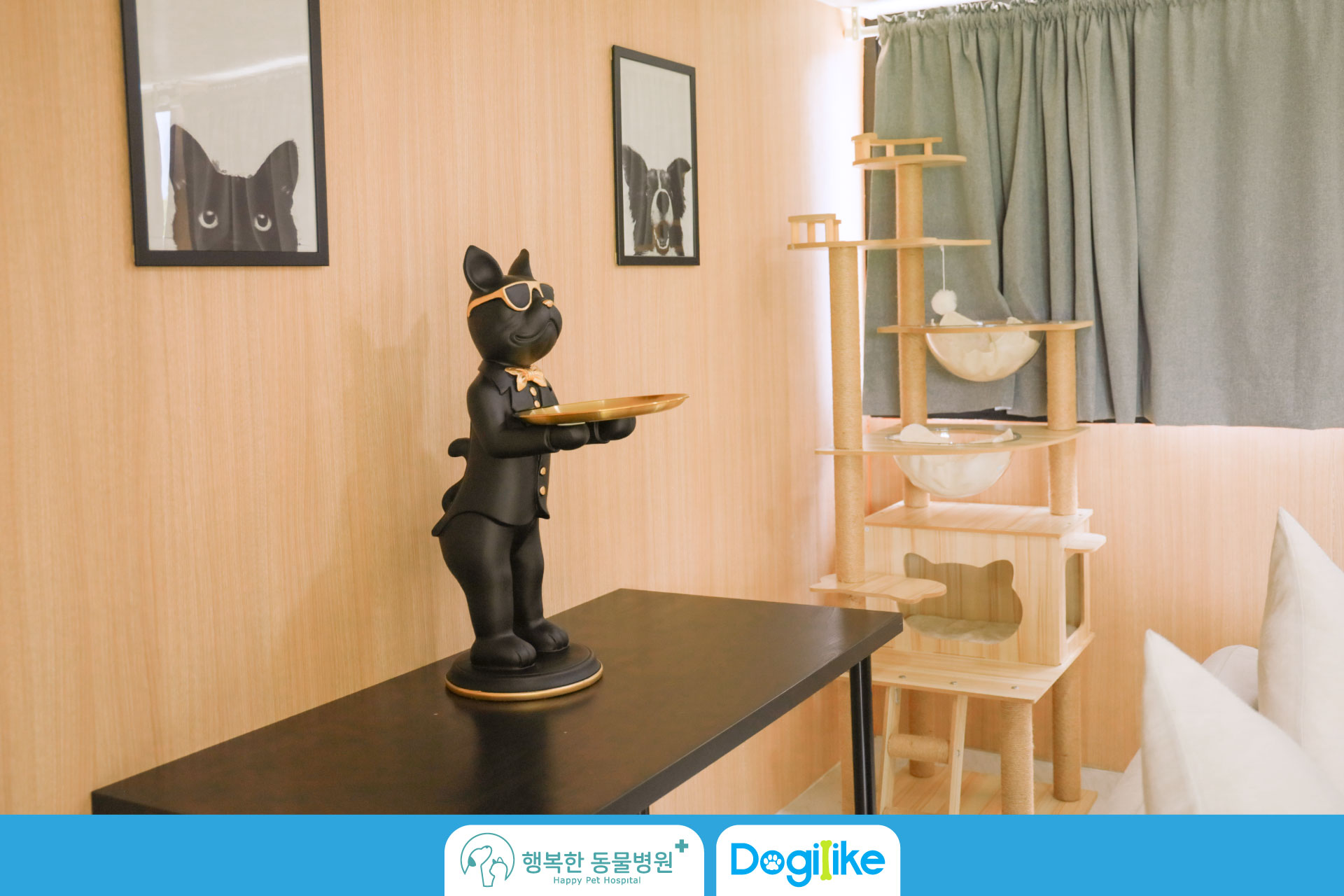 Dogilike.com :: Happy Pet Hospital çҺѵҡշá