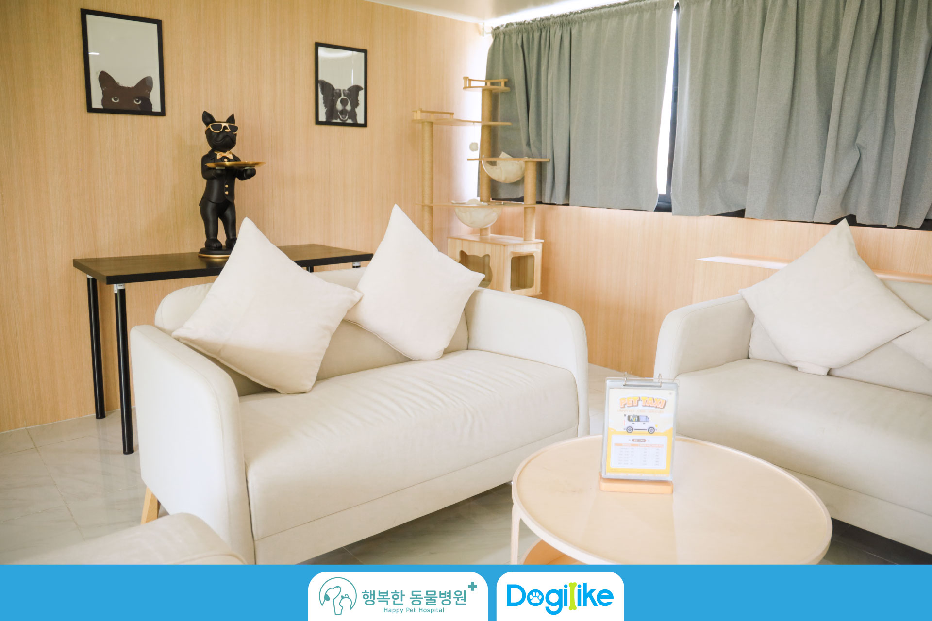 Dogilike.com :: Happy Pet Hospital çҺѵҡշá