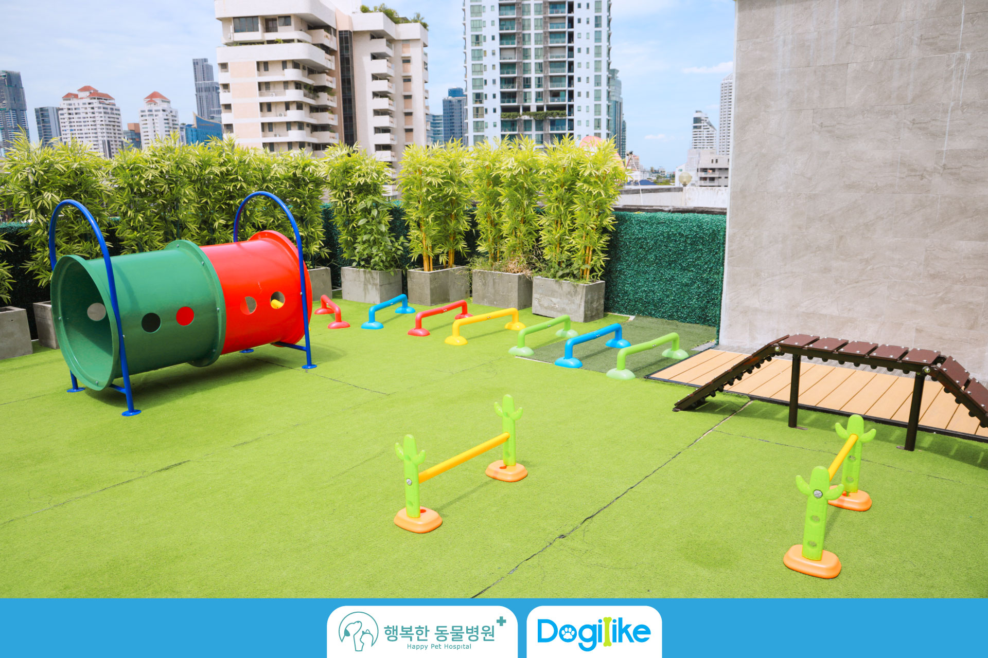 Dogilike.com :: Happy Pet Hospital çҺѵҡշá