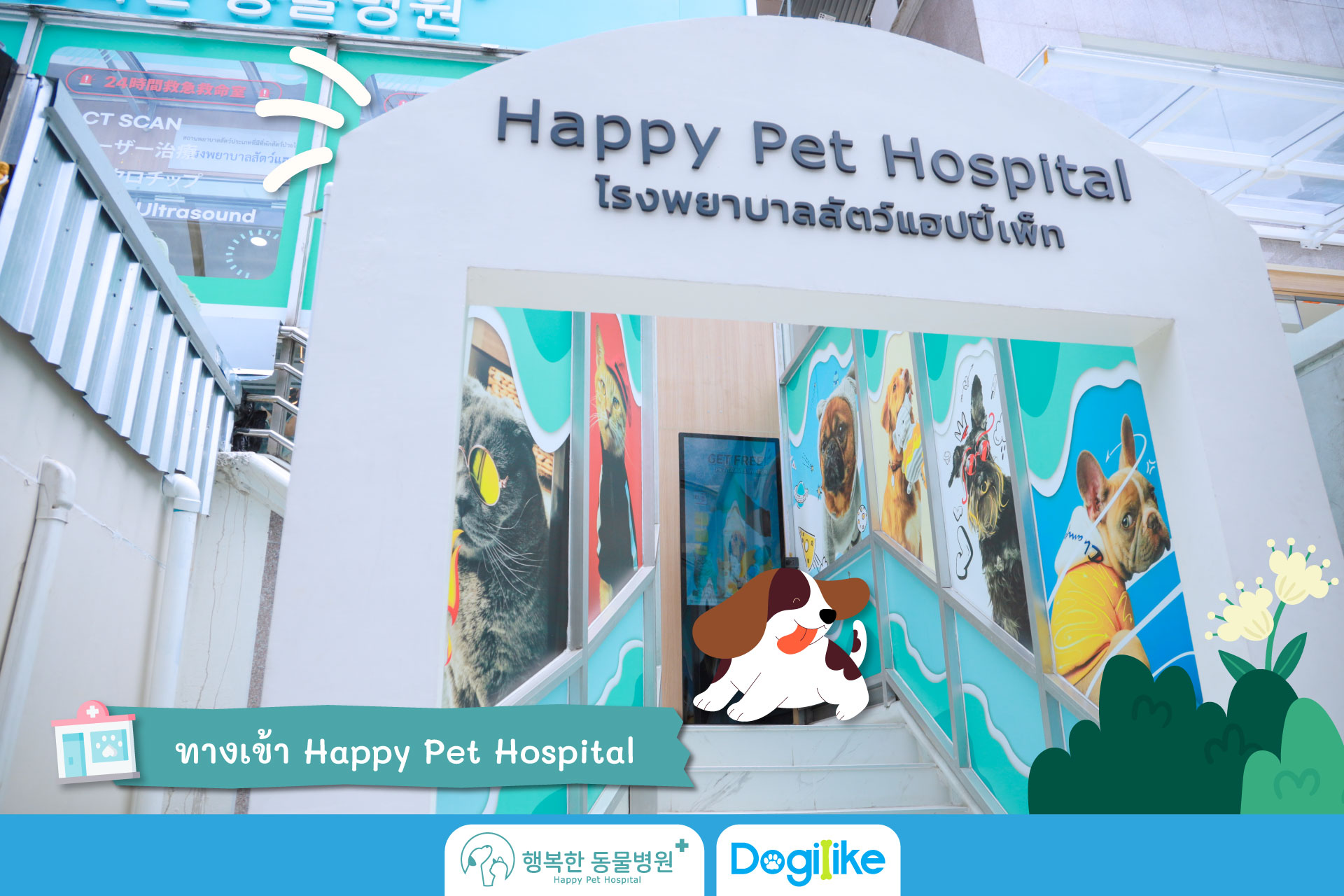 Dogilike.com :: Happy Pet Hospital çҺѵҡշá