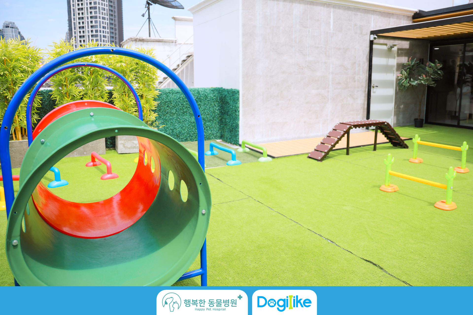 Dogilike.com :: Happy Pet Hospital çҺѵҡշá