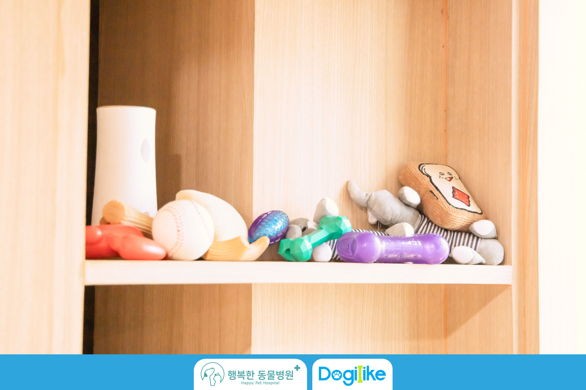 Dogilike.com :: Happy Pet Hospital çҺѵҡշá