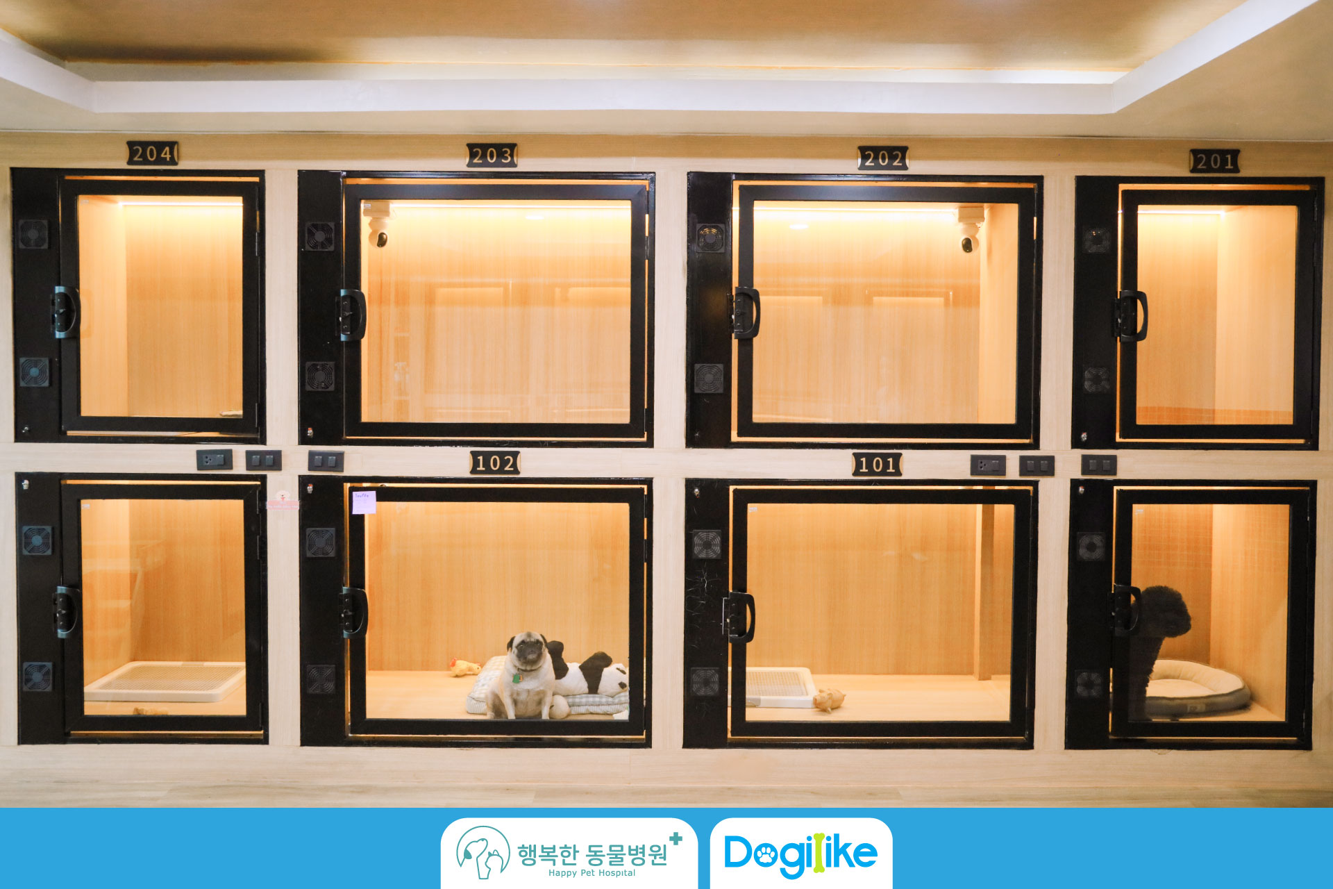 Dogilike.com :: Happy Pet Hospital çҺѵҡշá