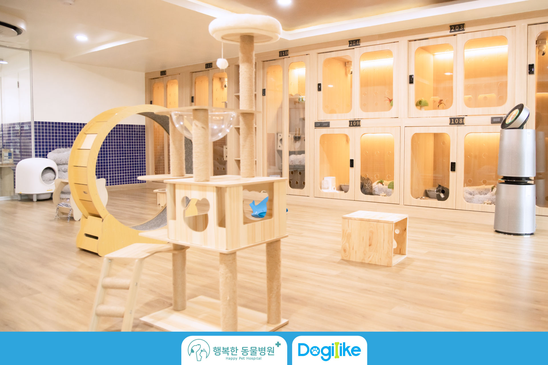 Dogilike.com :: Happy Pet Hospital çҺѵҡշá