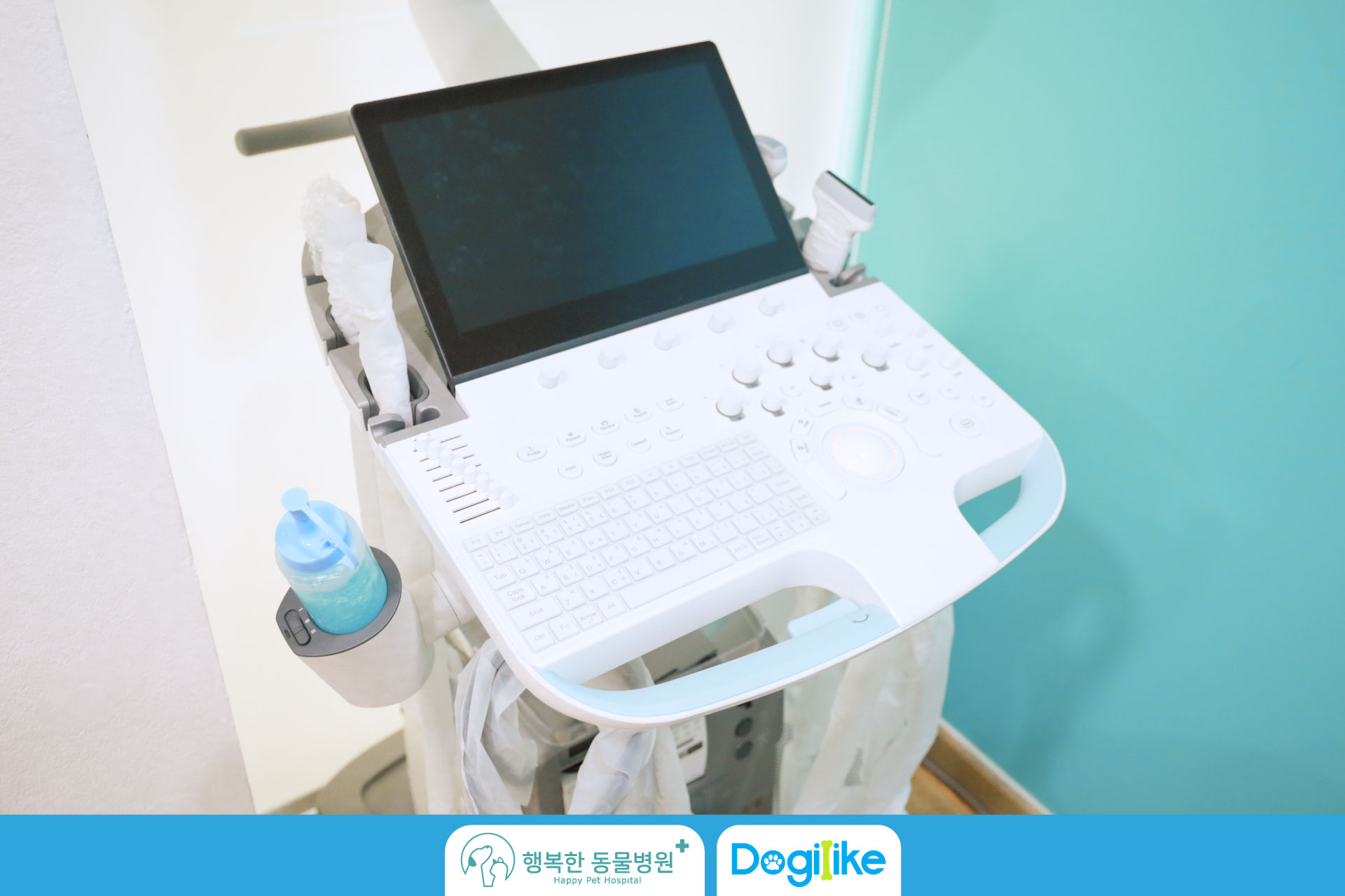 Dogilike.com :: Happy Pet Hospital çҺѵҡշá