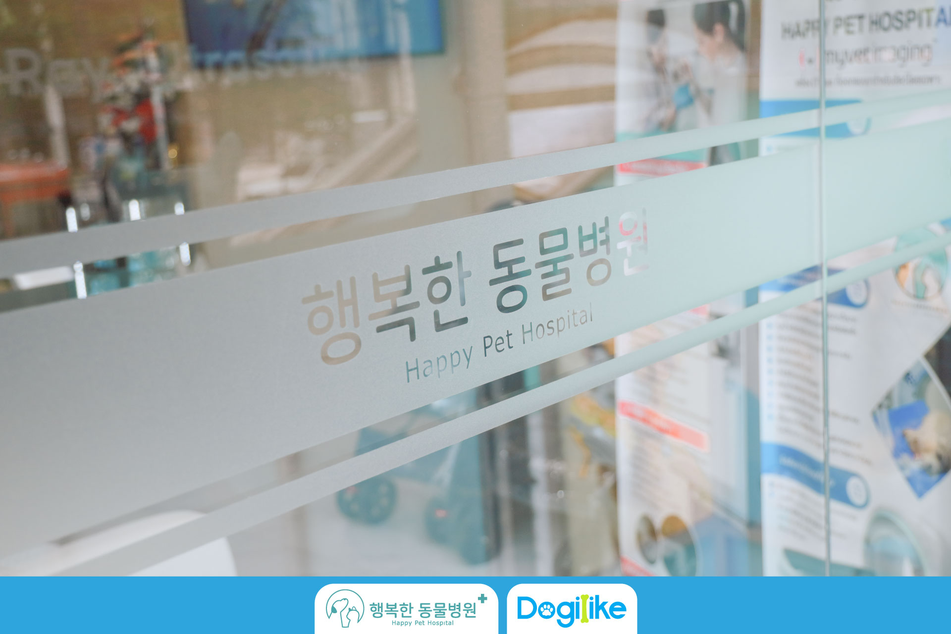 Dogilike.com :: Happy Pet Hospital çҺѵҡշá