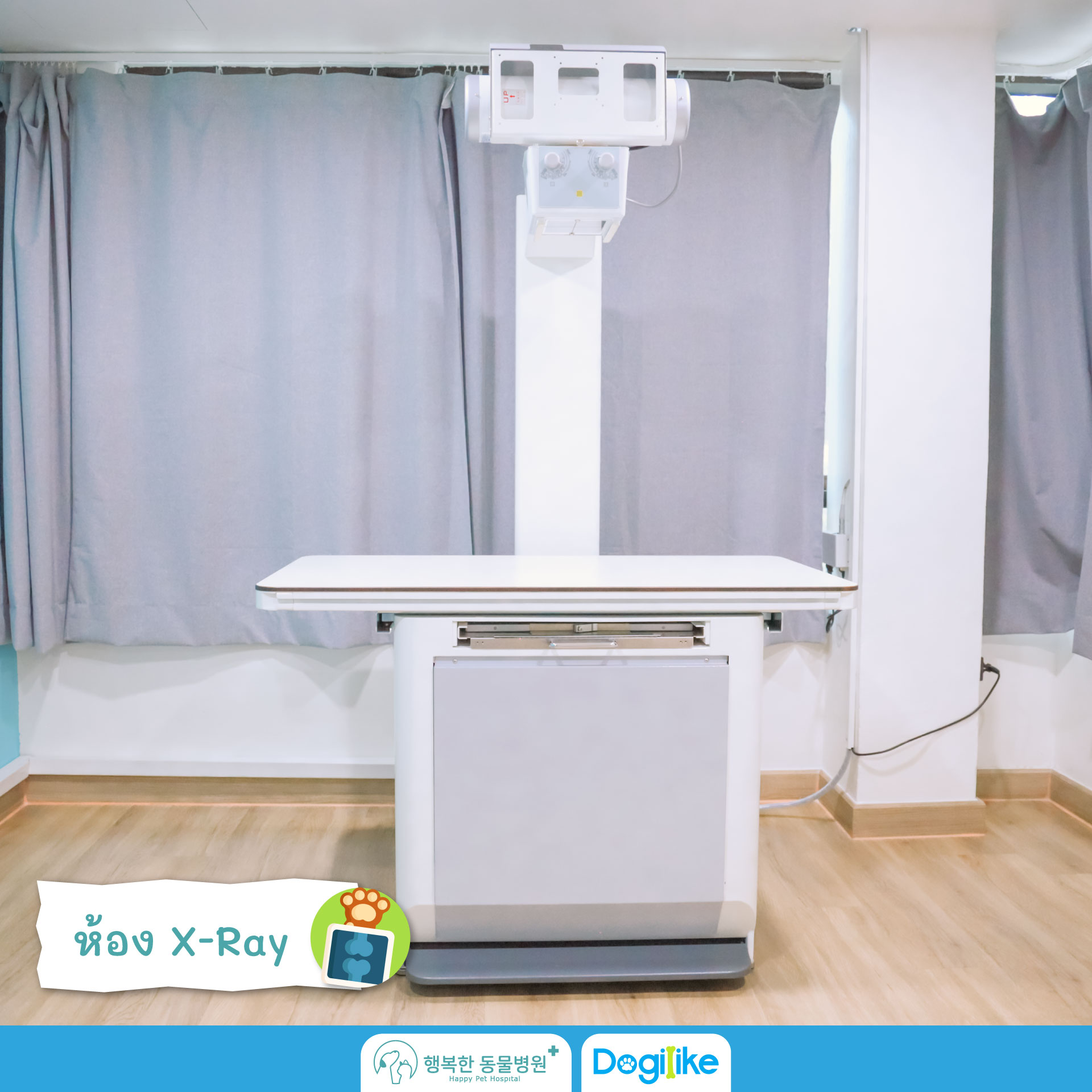 Dogilike.com :: Happy Pet Hospital çҺѵҡշá