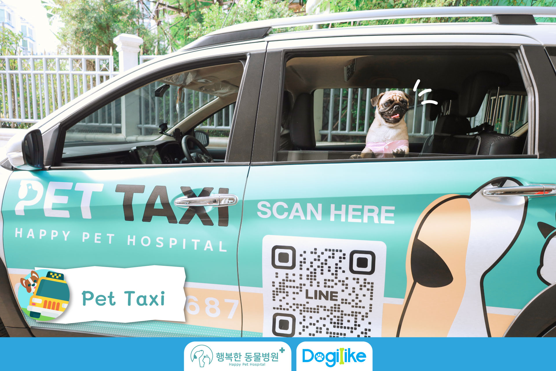 Dogilike.com :: Happy Pet Hospital çҺѵҡշá