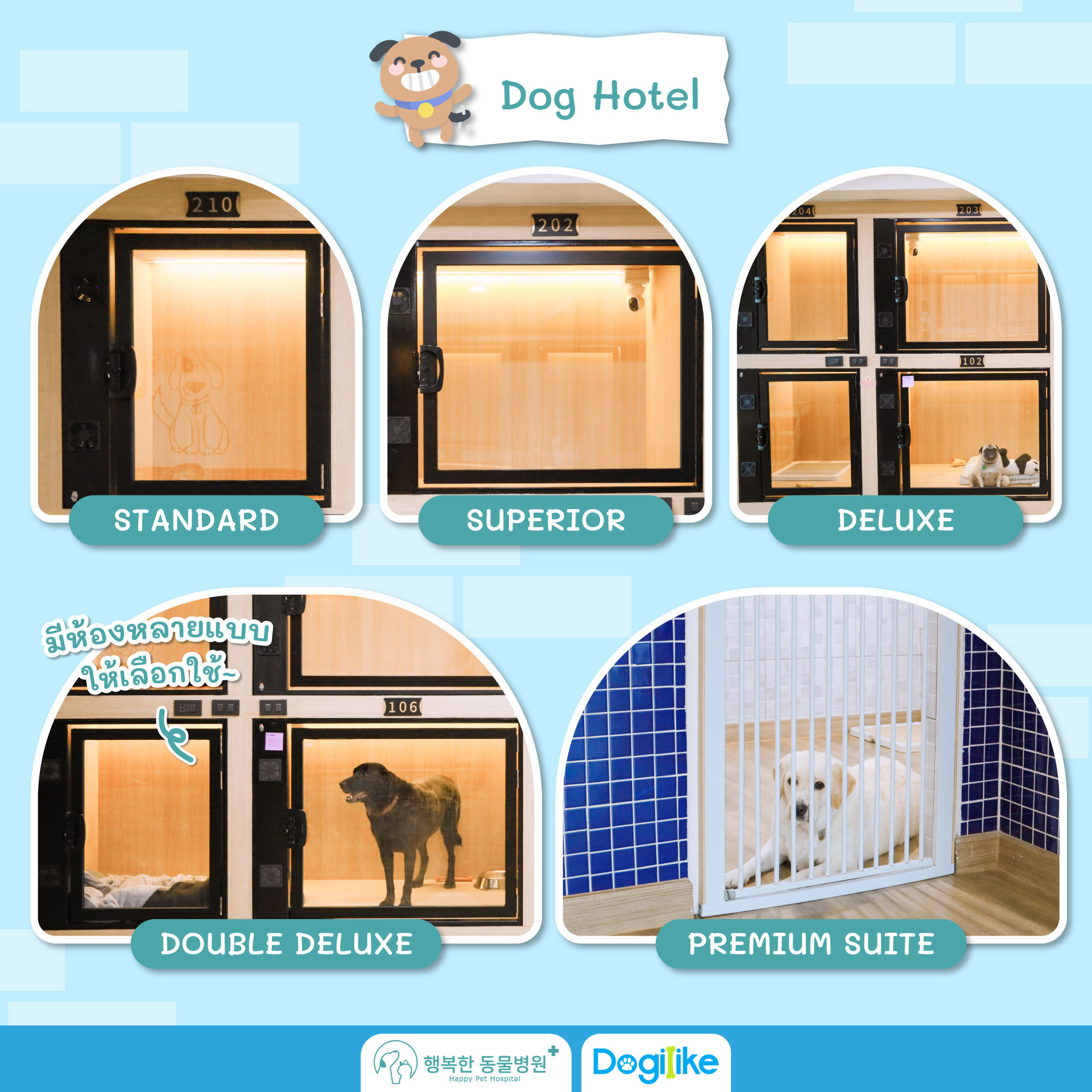 Dogilike.com :: Happy Pet Hospital çҺѵҡշá