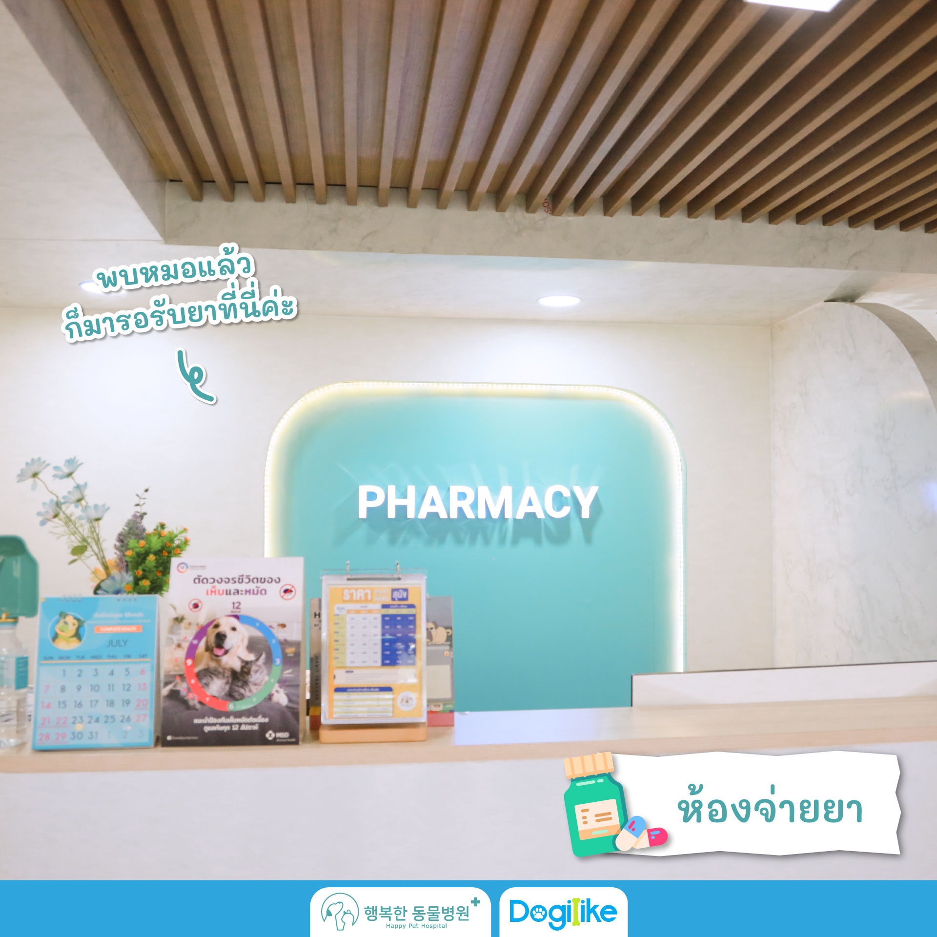 Dogilike.com :: Happy Pet Hospital çҺѵҡշá