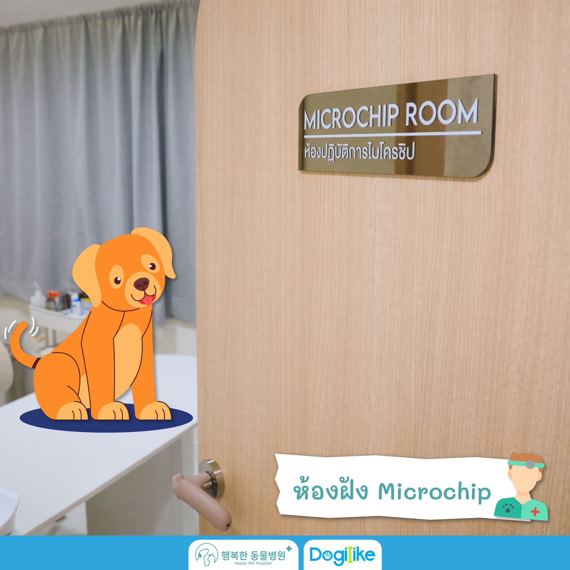 Dogilike.com :: Happy Pet Hospital çҺѵҡշá