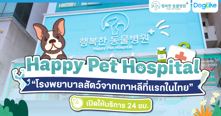 Dogilike.com :: Happy Pet Hospital çҺѵҡշá