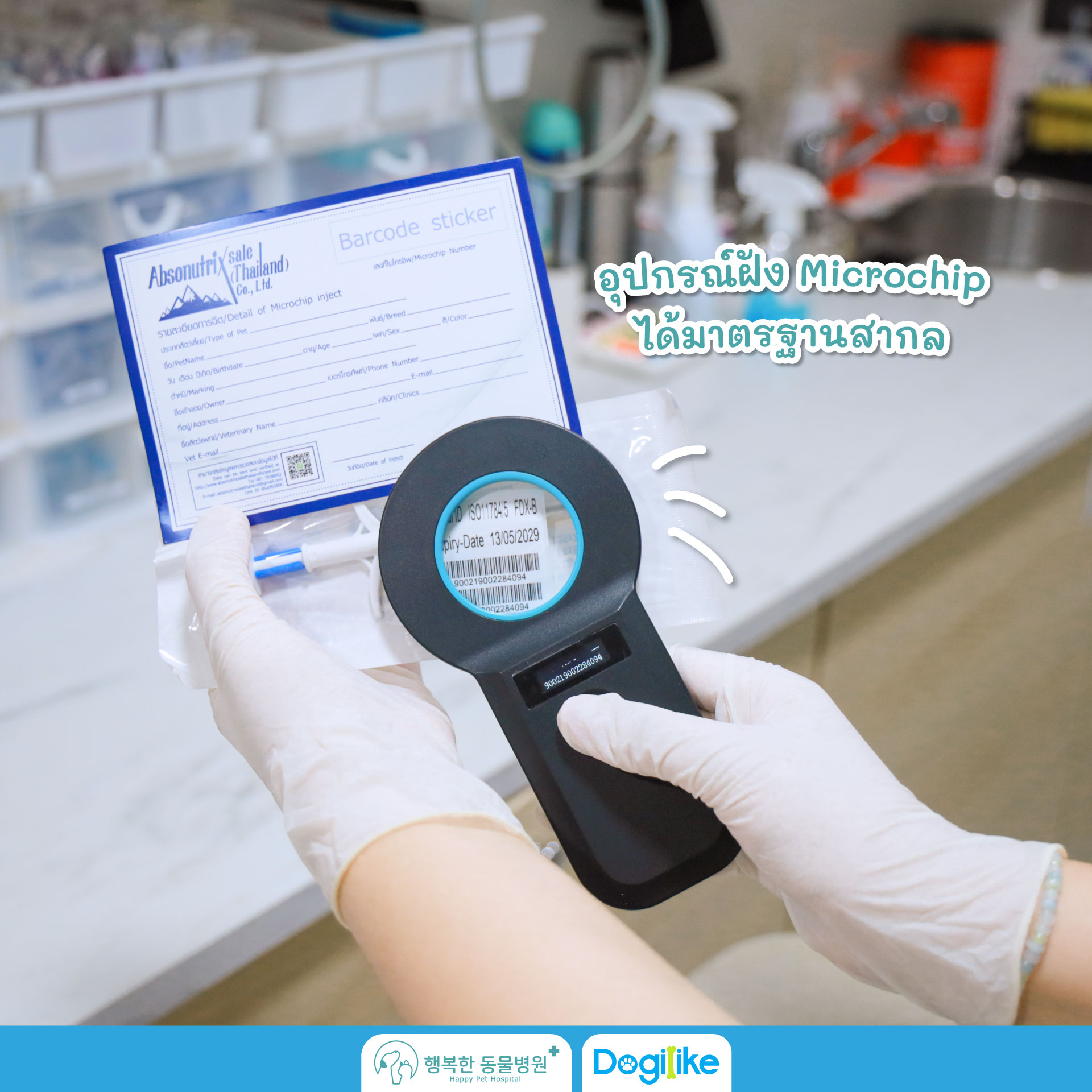 Dogilike.com :: Happy Pet Hospital çҺѵҡշá