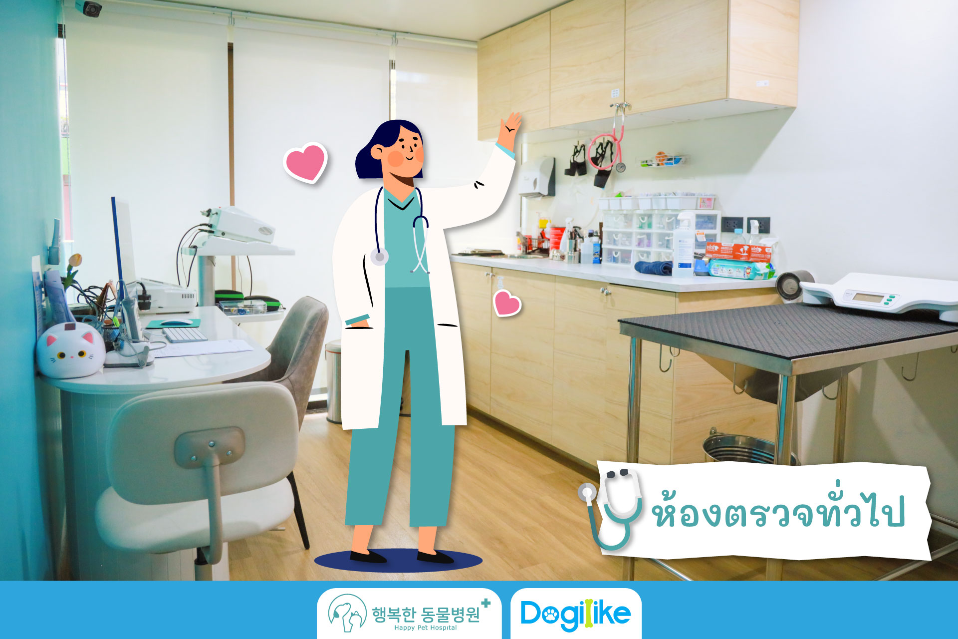 Dogilike.com :: Happy Pet Hospital çҺѵҡշá