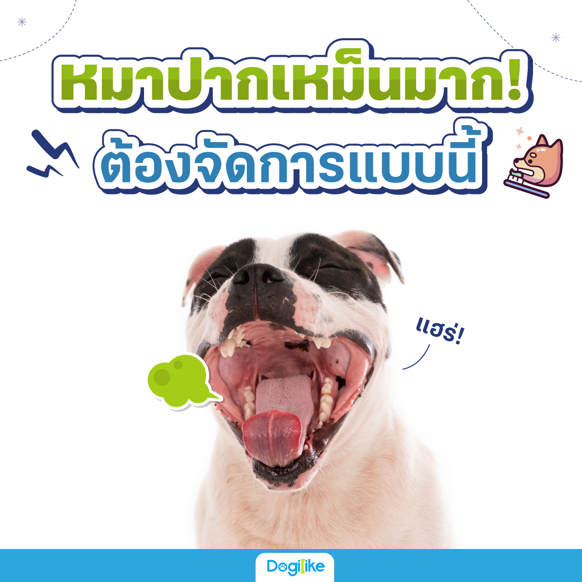 Dogilike.com :: һҡҡ ͧẺ!