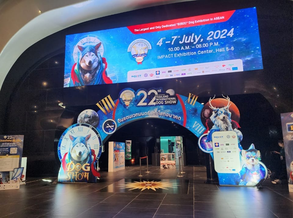 Dogilike.com :: ѹ! THAILAND INTERNATIONAL DOG SHOW 2024