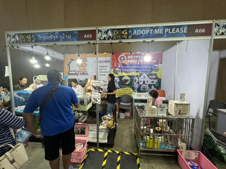 Dogilike.com :: ѹ! THAILAND INTERNATIONAL DOG SHOW 2024