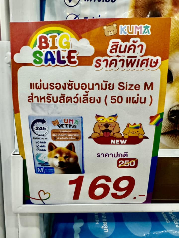 Dogilike.com :: ѹ! THAILAND INTERNATIONAL DOG SHOW 2024