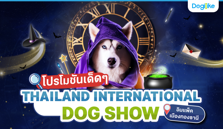 Dogilike.com :: ѹ! THAILAND INTERNATIONAL DOG SHOW 2024