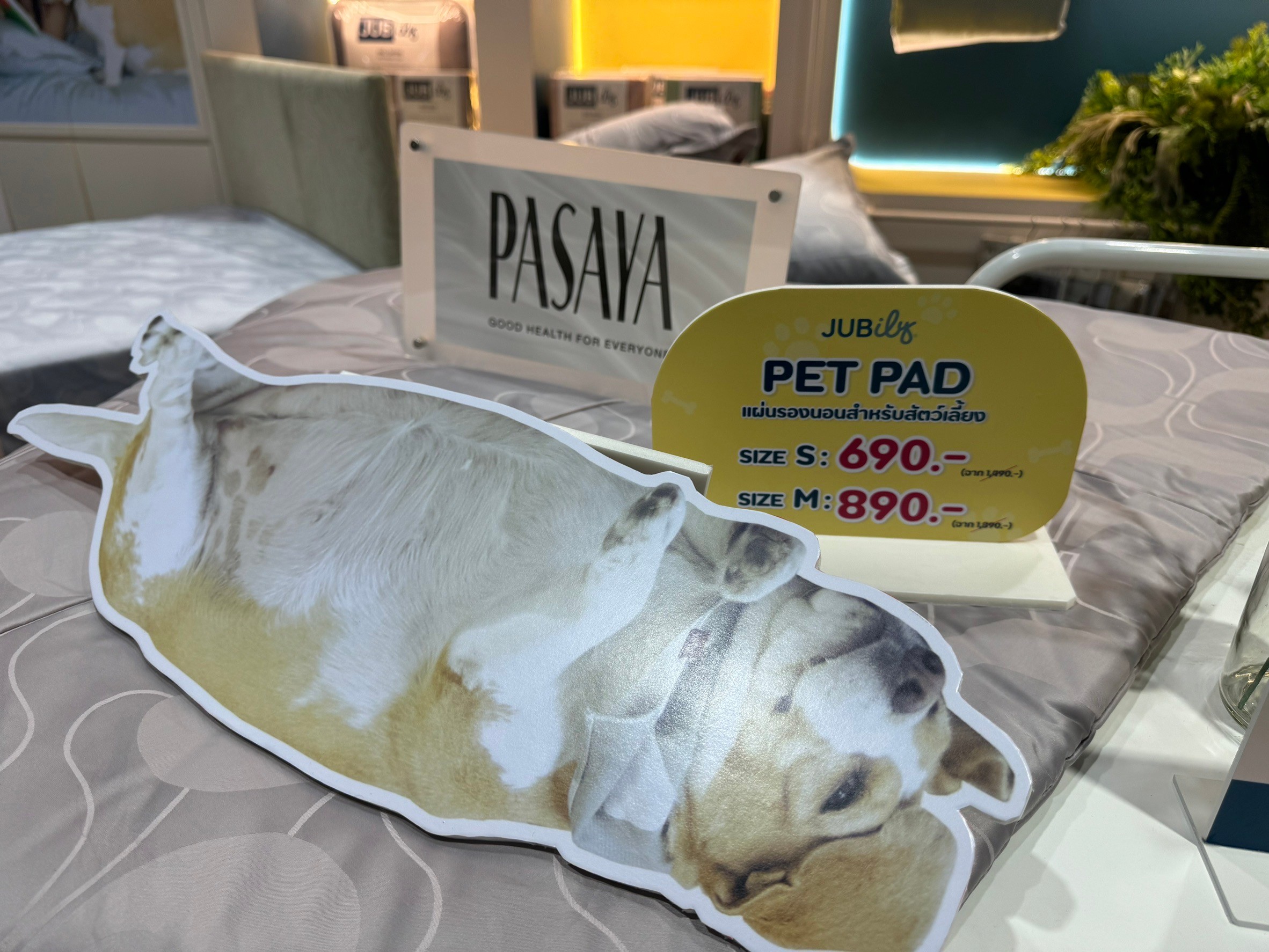 Dogilike.com :: ͧ! PET EXPO THAILAND 2024 @ٹûЪ觪ҵԡԵ