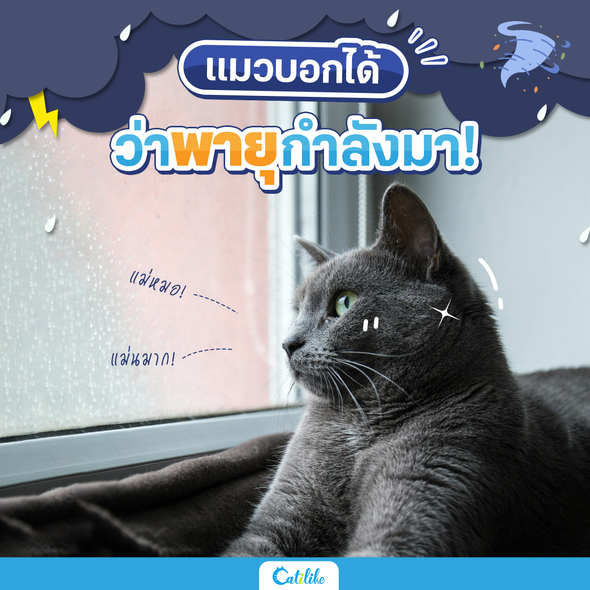 Dogilike.com :: Ǻ͡ ءѧ!