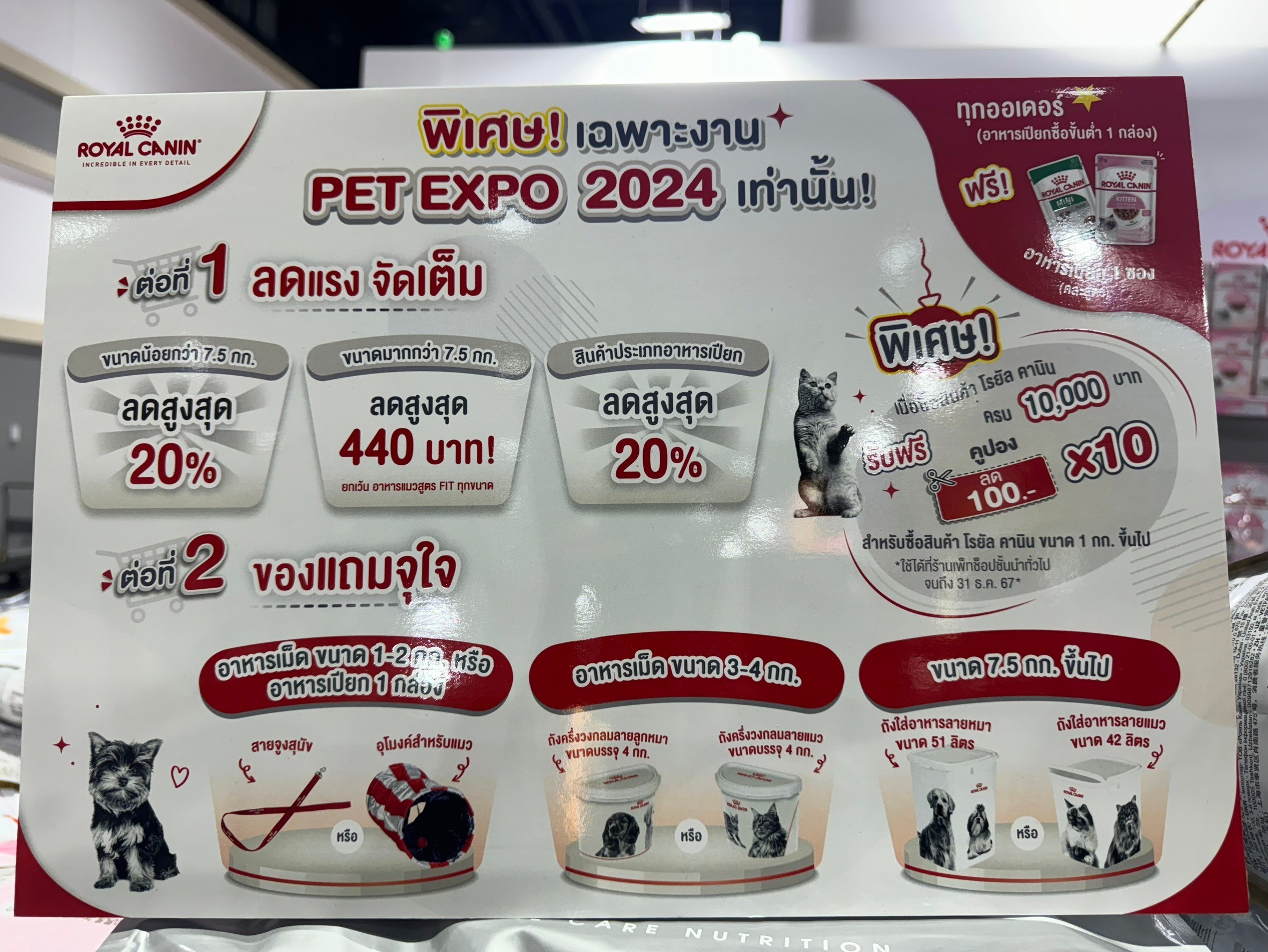 Dogilike.com :: ͧ! PET EXPO THAILAND 2024 @ٹûЪ觪ҵԡԵ