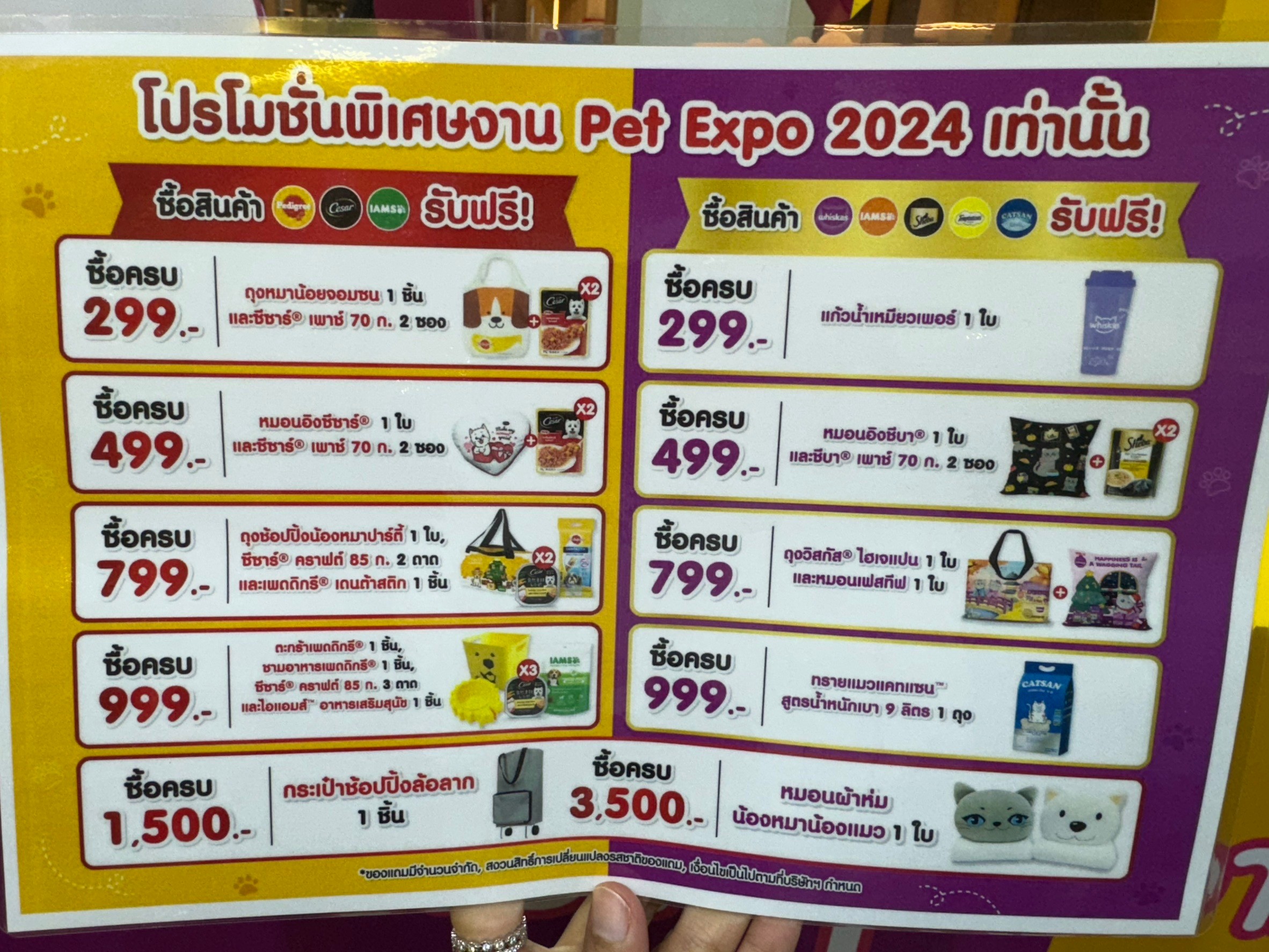 Dogilike.com :: ͧ! PET EXPO THAILAND 2024 @ٹûЪ觪ҵԡԵ