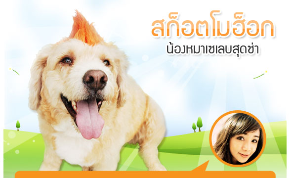 ʡ�͵����͡, dog of the week