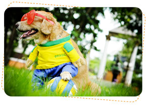 ʡ�͵����͡, dog of the week