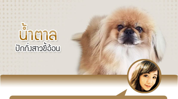 dog of the week, ӵ