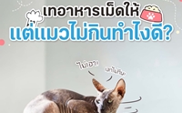  Թ䧴?