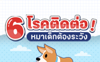 6 äԴ硵ͧѧ