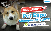 Dogilike ͧ Pet Expo Championship 2022