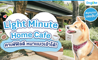 Light Minute Home Cafe Ŵ !