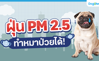  PM 2.5 һ!