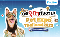 Dogilike ҵ PET EXPO THAILAND 2023 Ŵء駧ҹ! 
