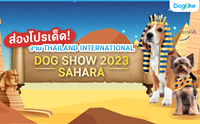 Dogilike ͧ THAILAND INTERNATIONAL DOG SHOW 2023