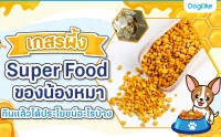 ü Super Food ͧͧ Թªúҧ 