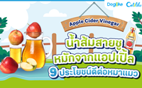 Apple Cider Vinegar 9 ªյ