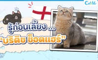 ͹§ ... ԵԪ ͵