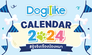 ǹŴ! ԷԹͧ Dogilike  2024