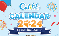 ǹŴ! ԷԹͧ Catilike  2024