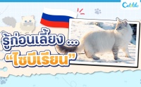 ͹§ ... 䫺¹