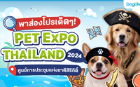 ͧ! PET EXPO THAILAND 2024 @ٹûЪ觪ҵԡԵ