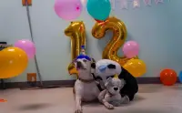 ѴҹѹԴٹѡԧ! ѧҢͧªԵ 1 ա͹