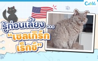 ͹§ ...  硫