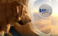 ǺԹáͧ BARK Air! ¡úԹعѢ੾