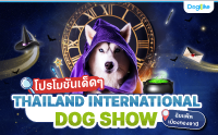 ѹ! THAILAND INTERNATIONAL DOG SHOW 2024