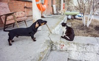 ͧҡ͹! 駵ͼ١Եô ⴹԹ